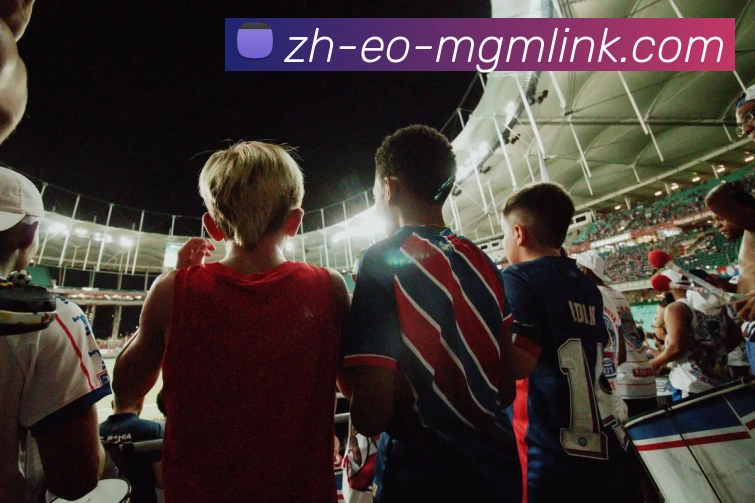 多媒体互动体验